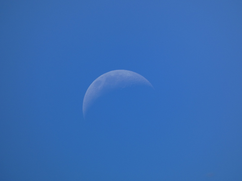 P1120126