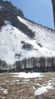 IMG 0472