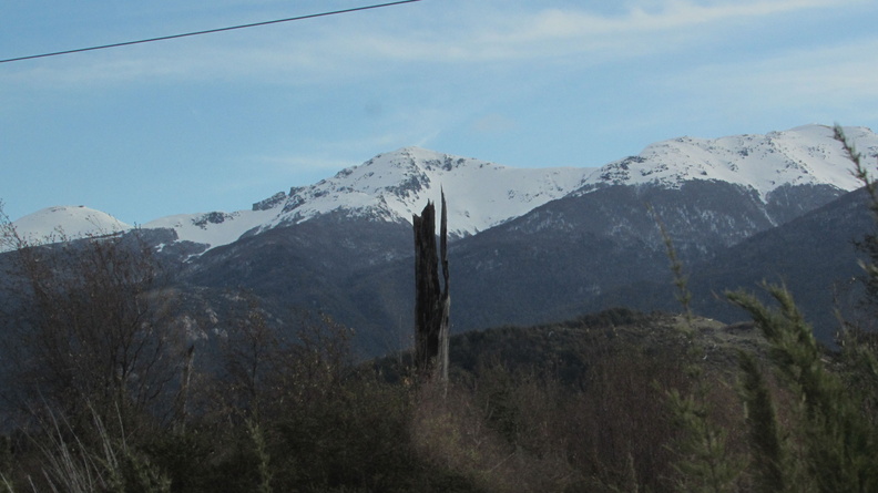 IMG 0652